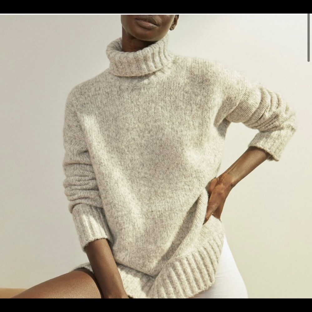 Everlane Cloud Turtleneck